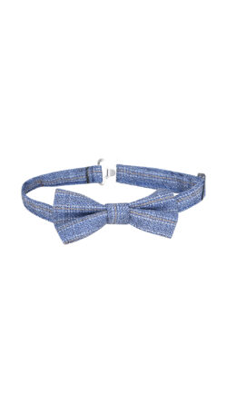 ⁦פפיון משובץ⁩ – תמונה ⁦3⁩