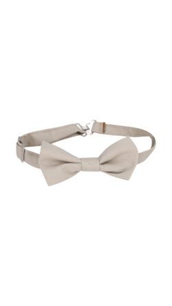 ⁦פפיון חלק⁩ – תמונה ⁦6⁩