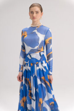 ⁦עליונית פלורה⁩ – תמונה ⁦4⁩