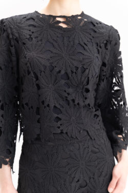 עליונית גפיור