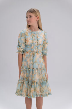 ⁦שמלה שיפון אמלי⁩ – תמונה ⁦5⁩